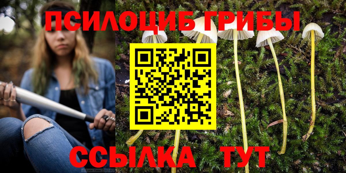 Великий Новгород  Галлюциногенные грибы MAGIC MUSHROOMS  магазин    Вход с VPN 