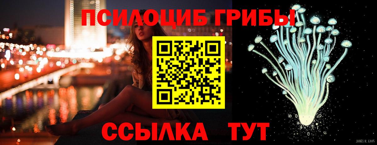 Псилоцибиновые грибы MAGIC MUSHROOMS Великий Новгород